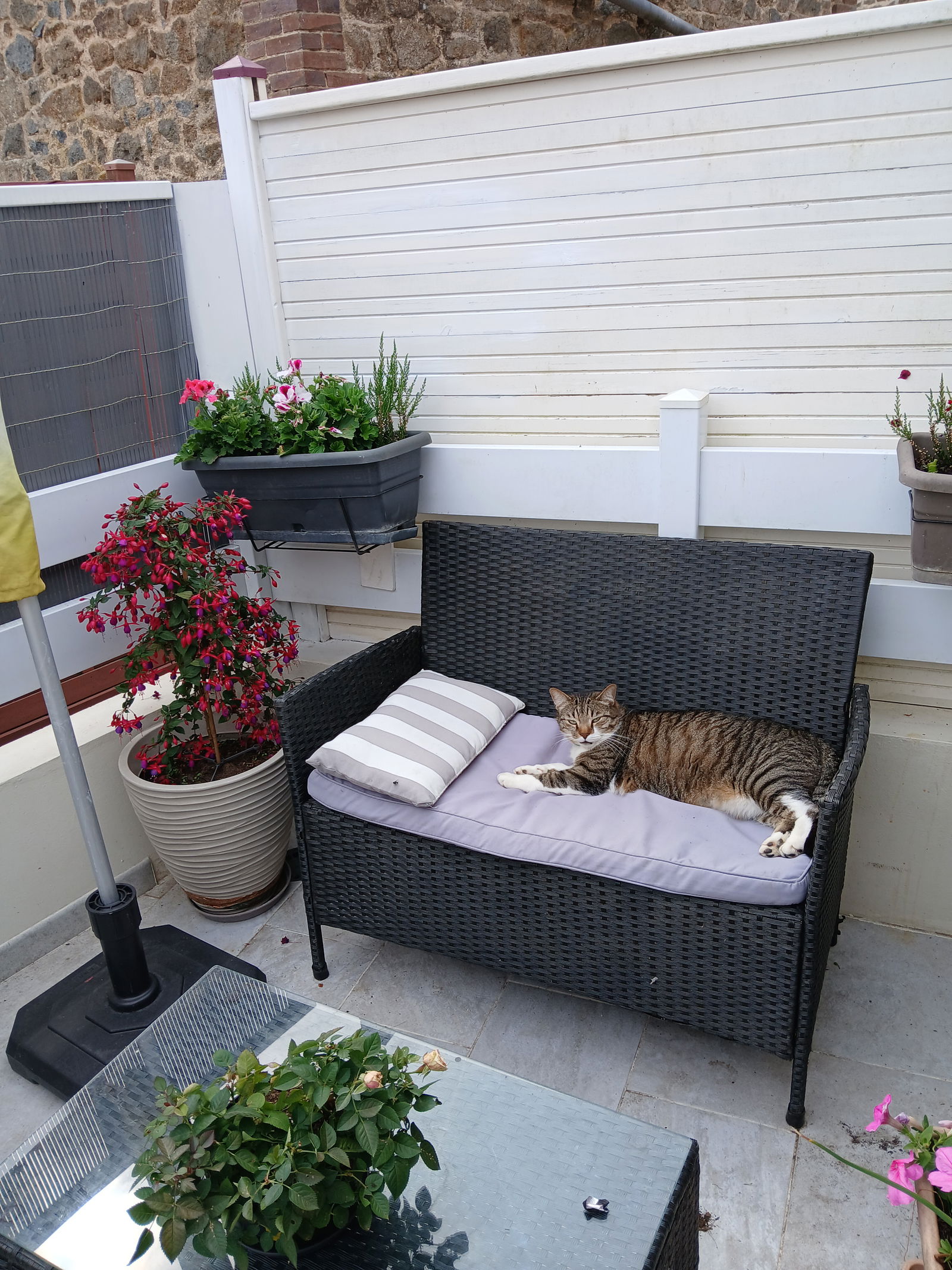 Homestay Gorron 573730