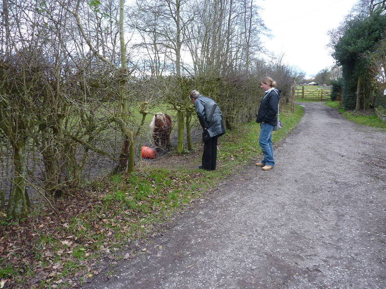 Quedarse En Casa England 165132-2