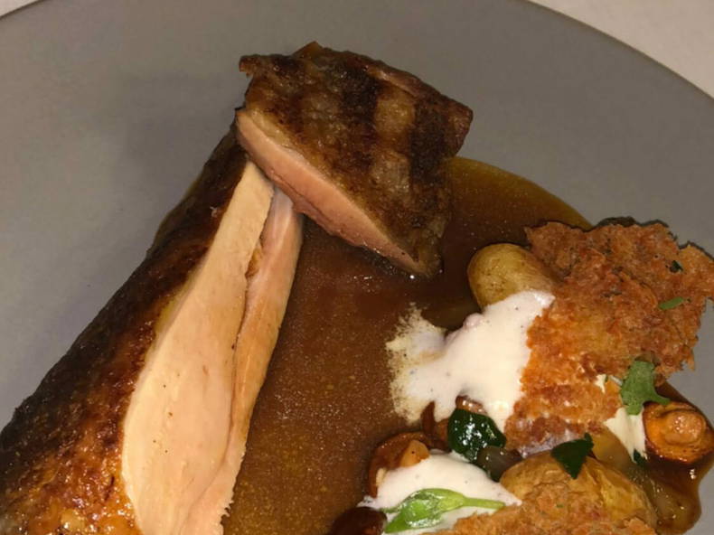 Gastfamilie Grimaud 239499-1