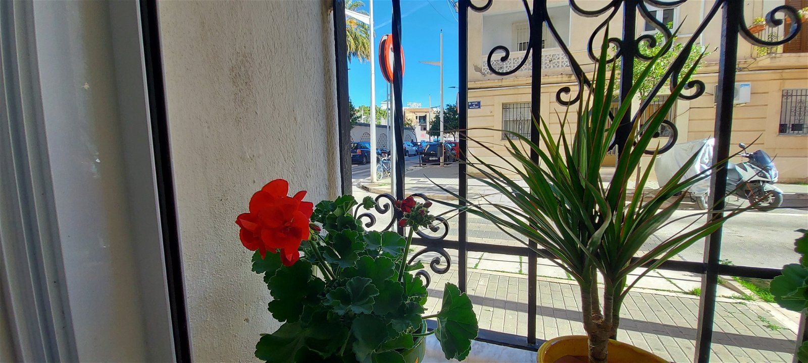 Homestay Valencia 245411