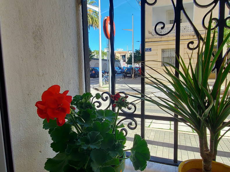 Gastfamilie Valencia 245411-5