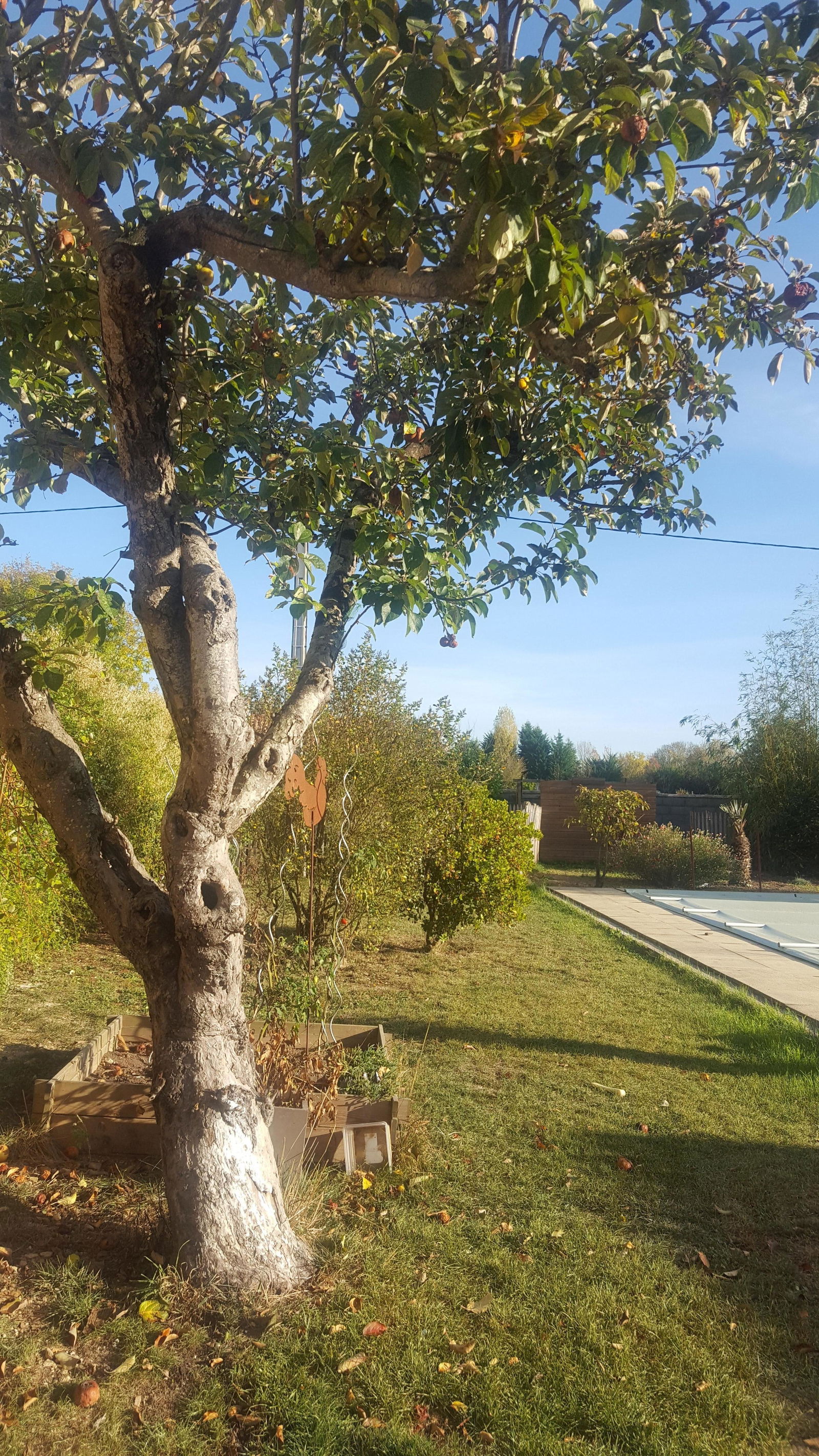 Homestay Aiffres 82091