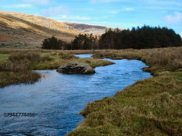 Wg-Zimmer Llanllechid 161287