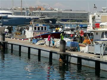 Homestay València 243718-8