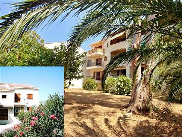 Roomlala | Côte D'Azur Var - Saint Cyr/Mer(300 M Plage)