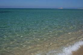 Studio Indépendant La Muddizza 163835