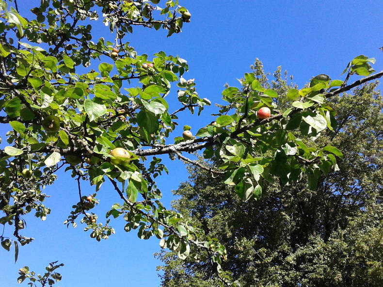 Habitaciones De Huéspedes Signy-l'Abbaye 125951-4
