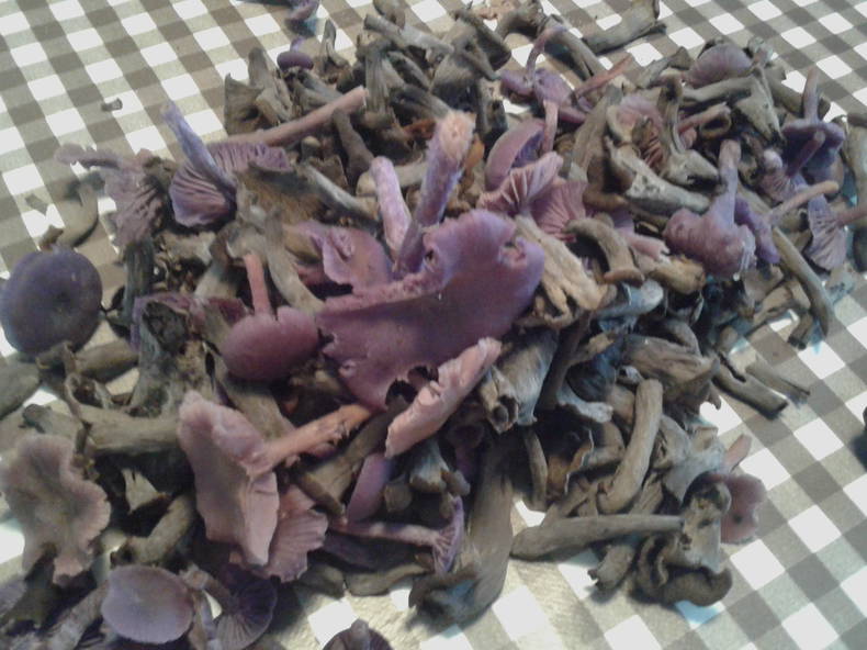 Habitaciones De Huéspedes Signy-l'Abbaye 125951-5