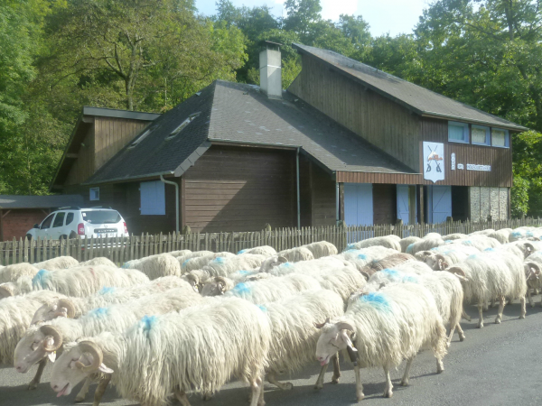 Ganzes Haus Féas 156530-5