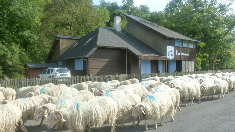 Tutta La Casa Féas 156530