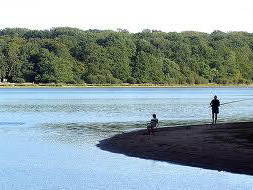 Logement Entier Isle-Et-Bardais 46098-9