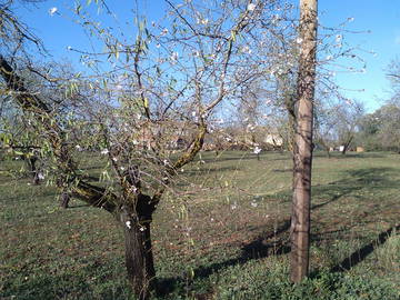 Habitación En Alquiler Úbeda 128833