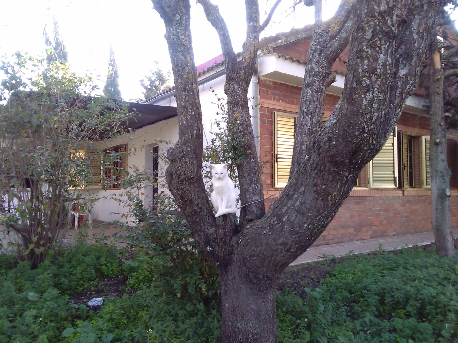 Homestay Úbeda 128833