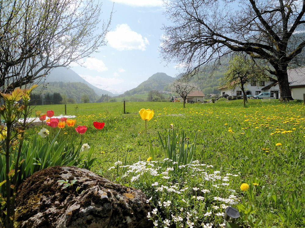 Entire Home Faverges 143082