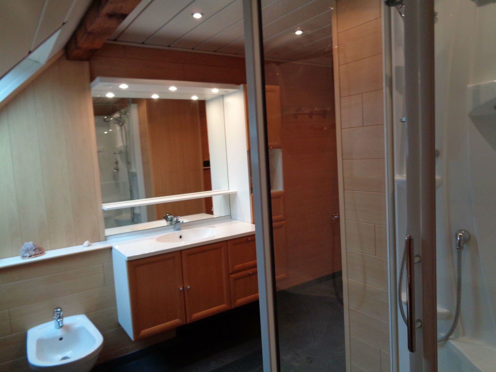 Entire Home Ottrott 103361