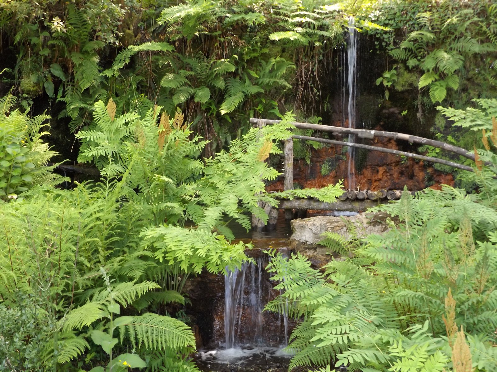 Estúdio Independente Arouca 131983