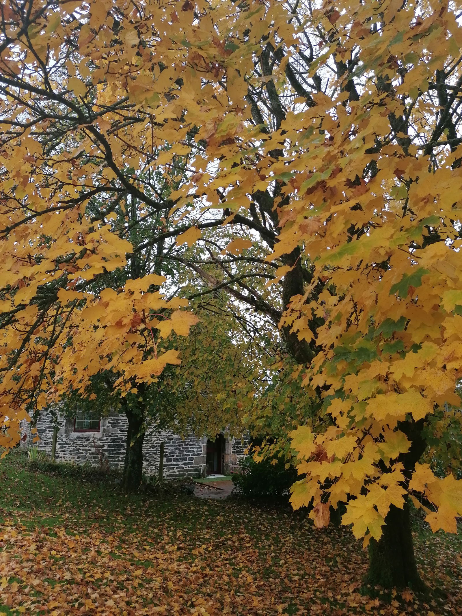 Tutta La Casa Briec 74098