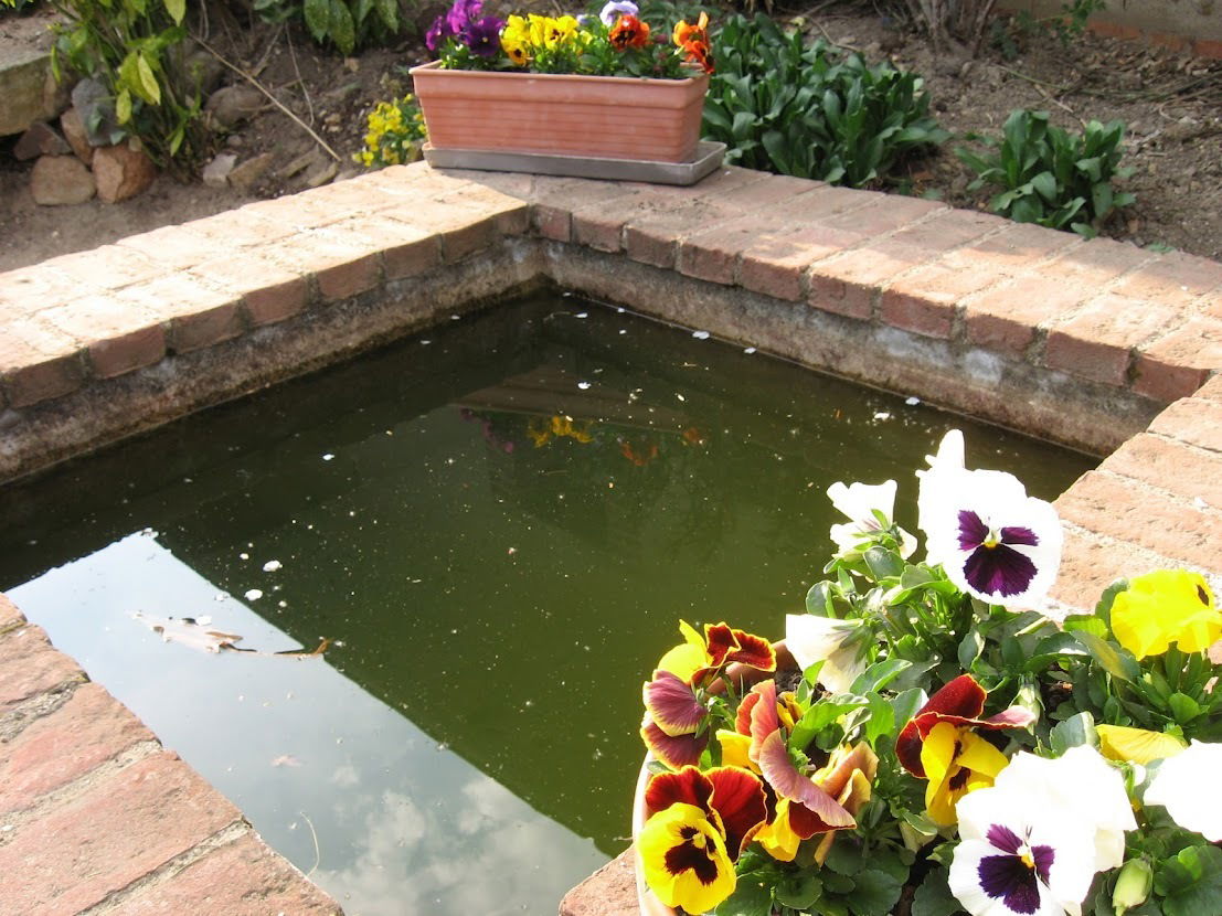 Tutta La Casa Chaneins 251883