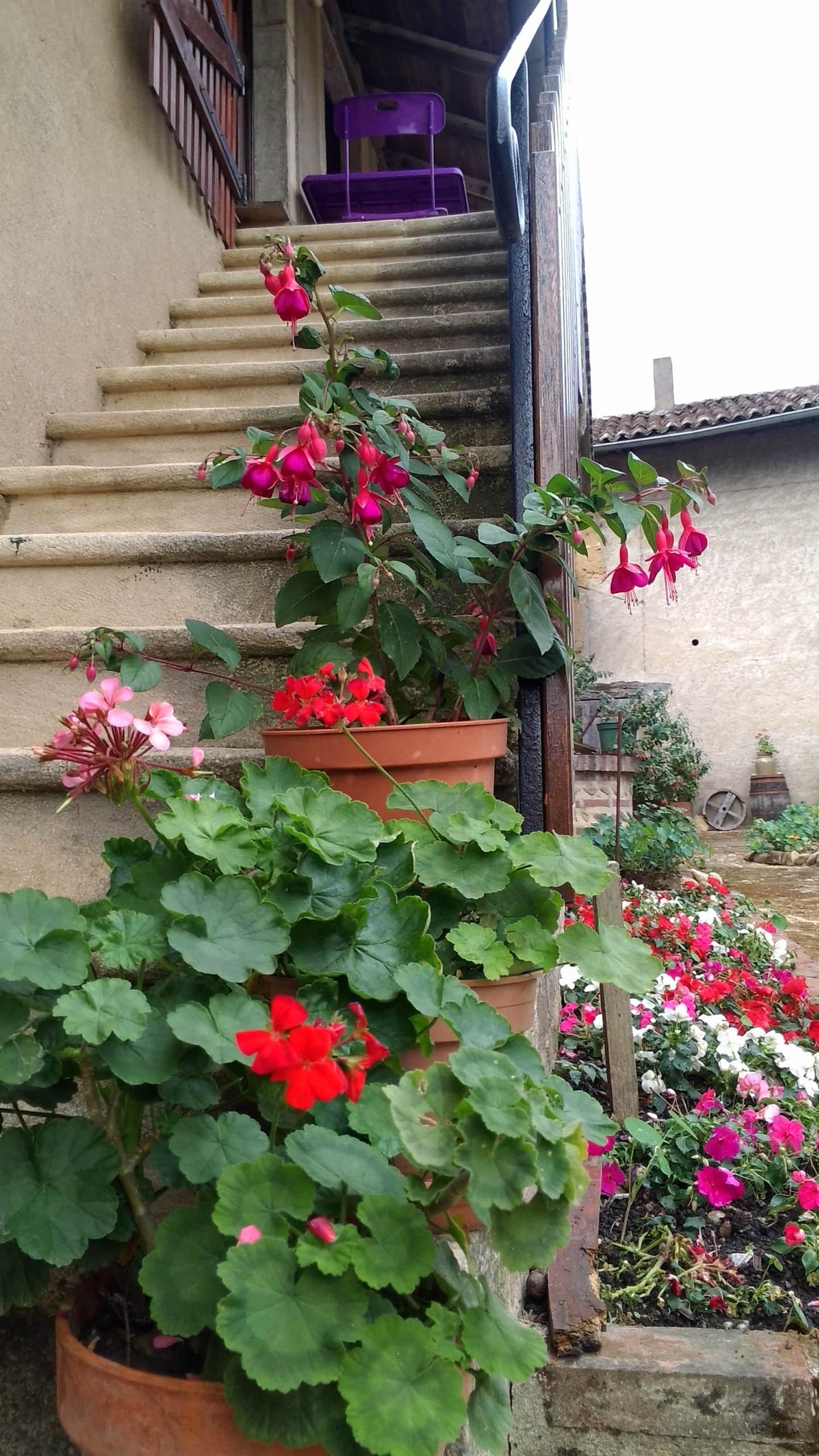 Tutta La Casa Chaneins 251883