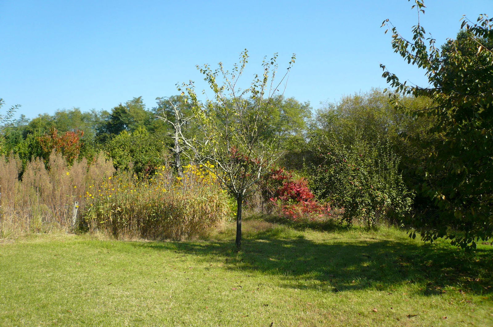 Entire Home Saint-Magne-de-Castillon 49232