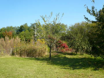 Logement Entier Saint-Magne-De-Castillon 49232-9