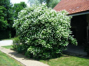 Logement Entier Mervans 16319-8