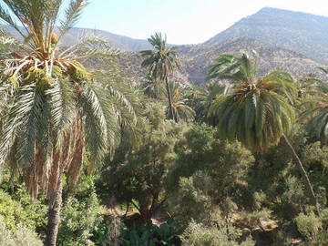 Studio Zu Vermieten Inraren 89104-2