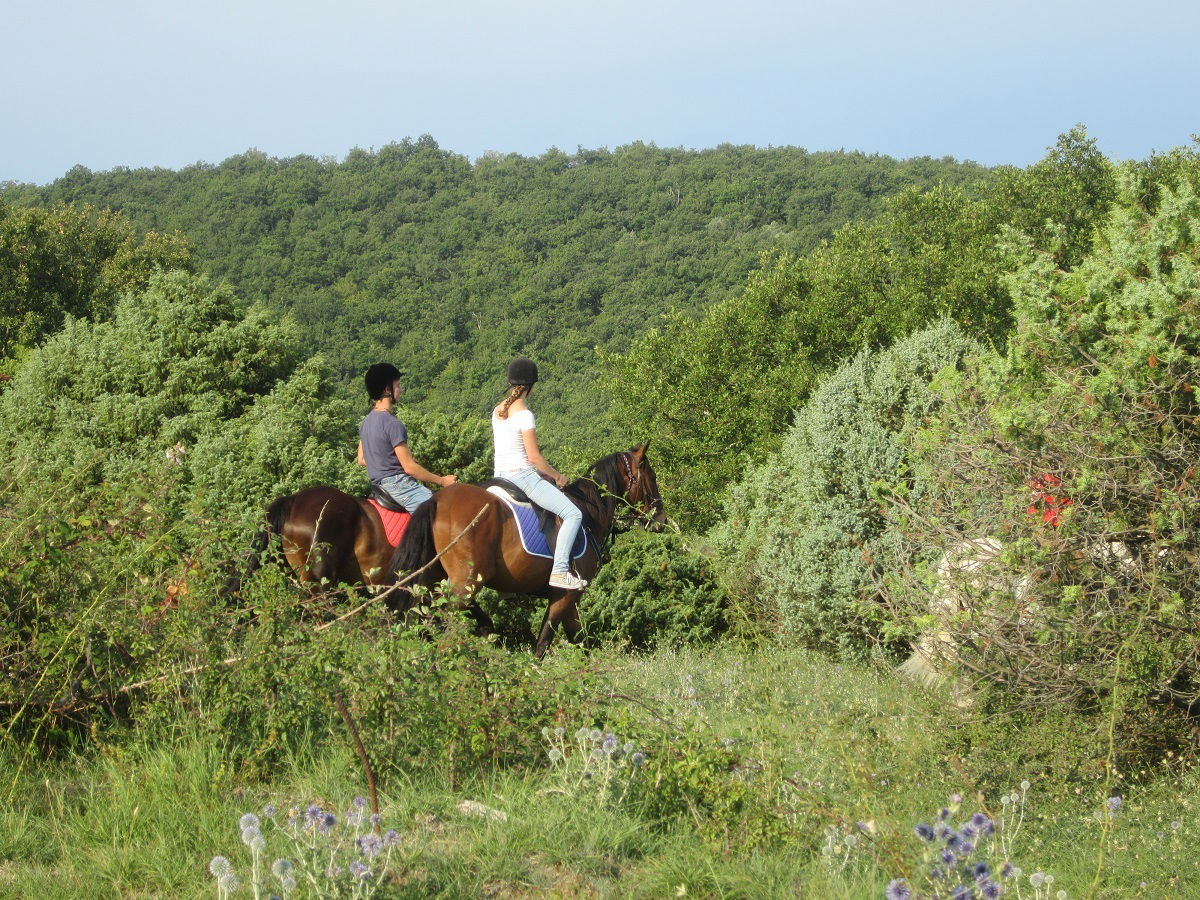 Entire Home Saint-Maurice-d'Ibie 75136