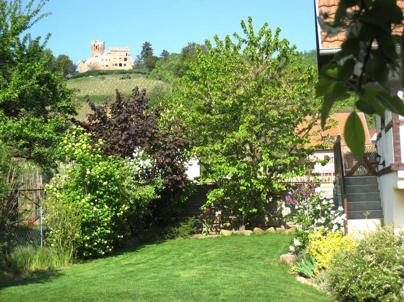 Ganzes Haus Kintzheim 96928-5