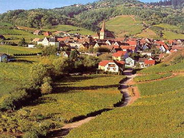 Logement Entier Niedermorschwihr 64044-7