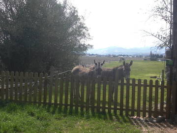 Chambre À Louer Laloubère 46975