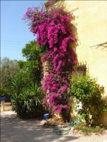 Tutta La Casa Fréjus 102504