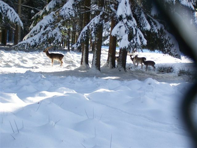 Tutta La Casa Vagney 48470