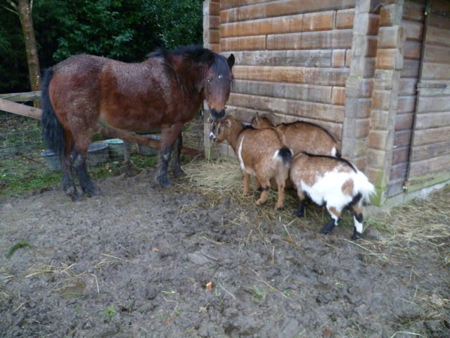 Tutta La Casa Sartilly-Baie-Bocage 97932