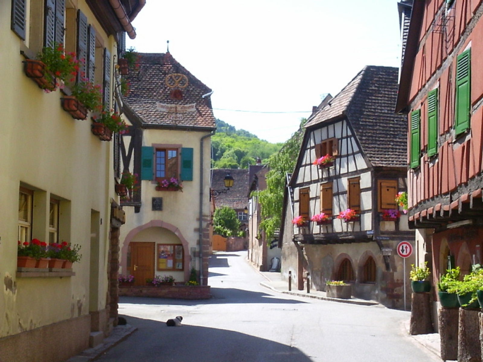 Tutta La Casa Niedermorschwihr 64044