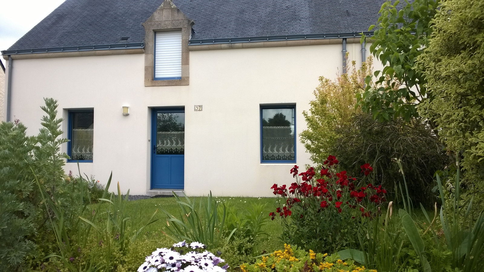 Tutta La Casa Férel 41067