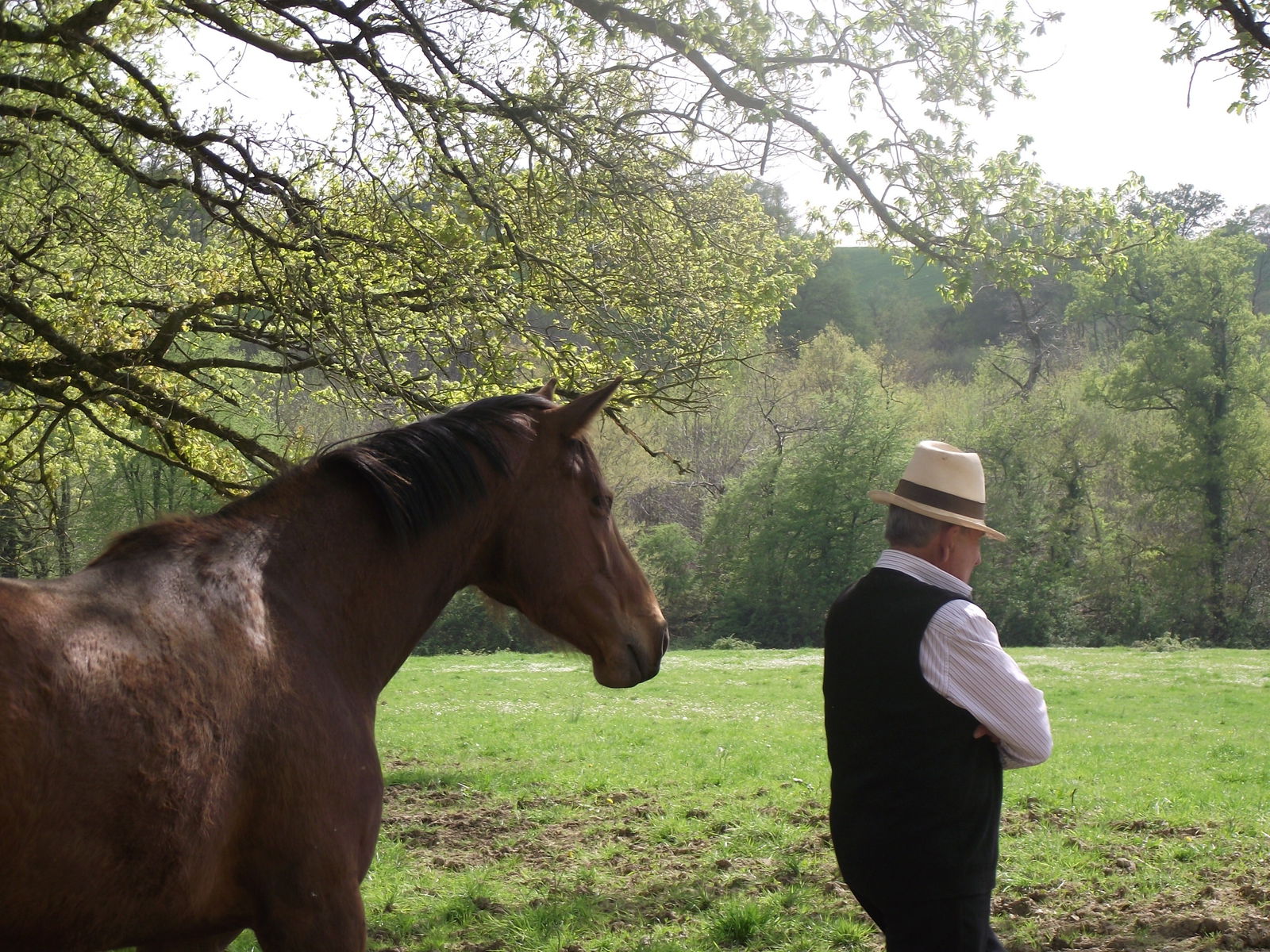 Tutta La Casa Manciet 64663