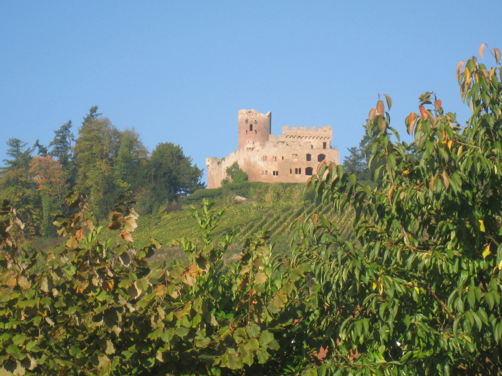 Tutta La Casa Kintzheim 96928