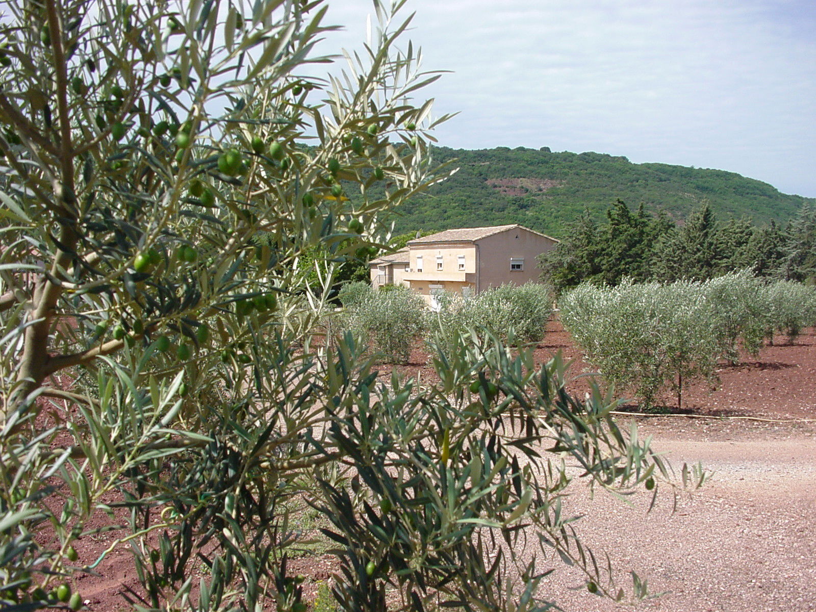 Tutta La Casa Le Bosc 80819