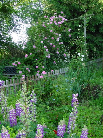 Tutta La Casa Faucigny 28187