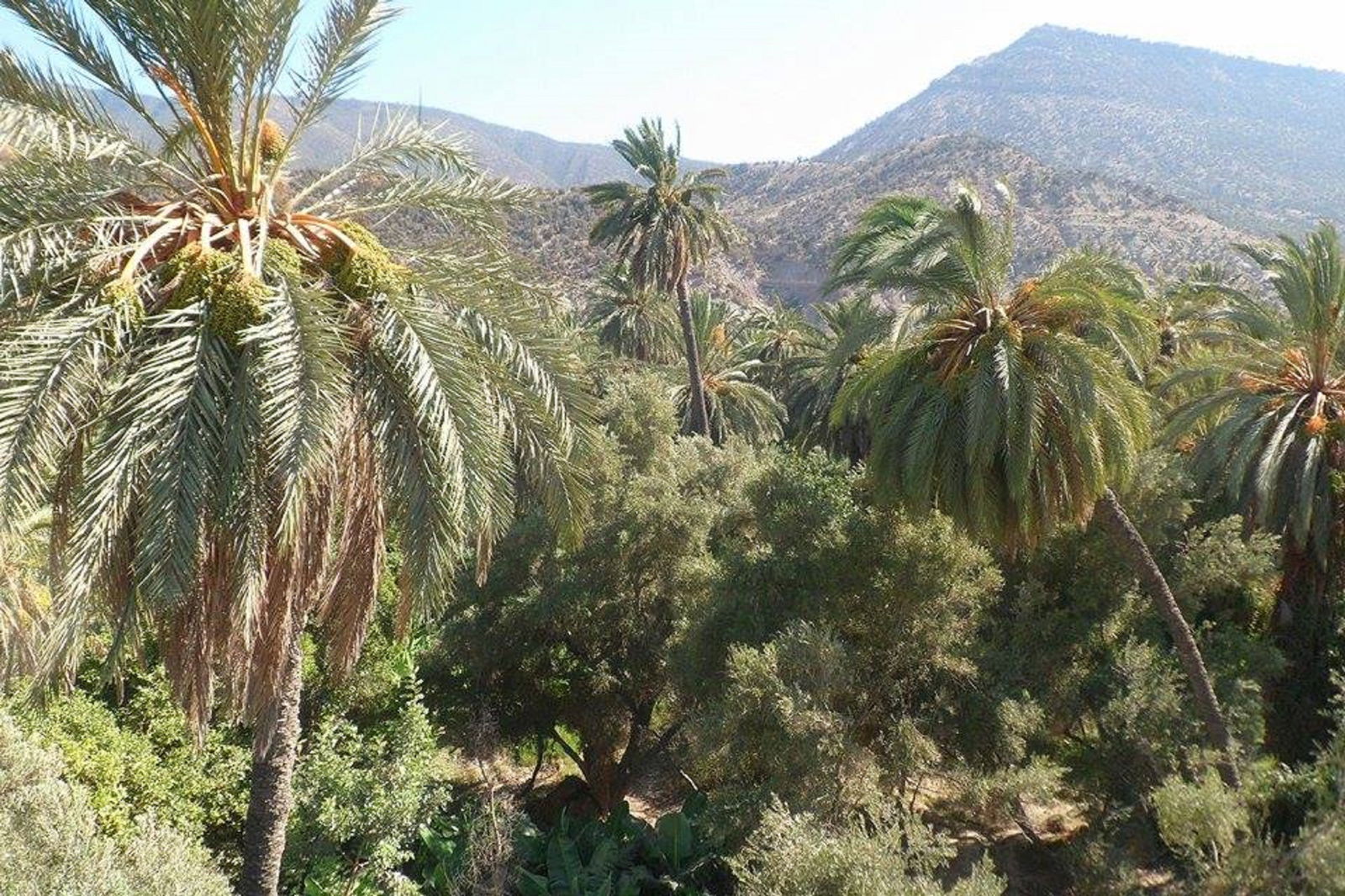 Tutta La Casa Inraren 89104