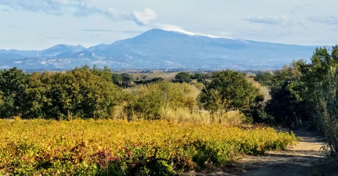 Homestay Entraigues-sur-la-Sorgue 98789