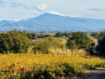 Chambre Chez L'habitant Entraigues-Sur-La-Sorgue 98789-6