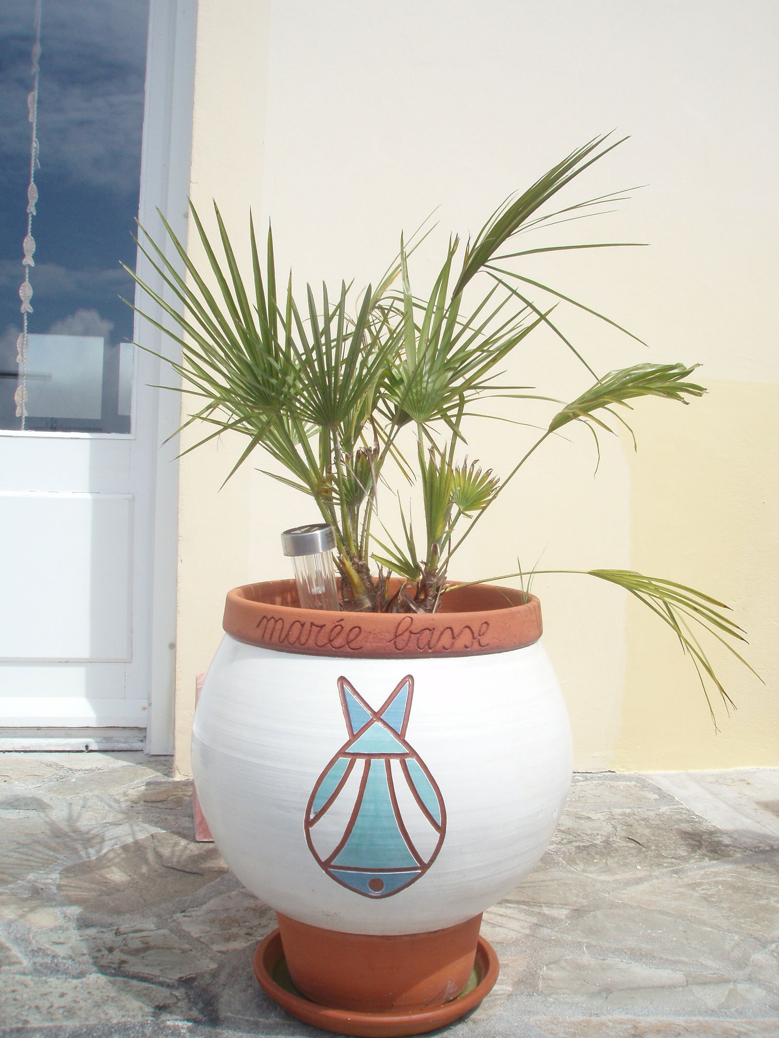 Tutta La Casa Treffiagat 163316