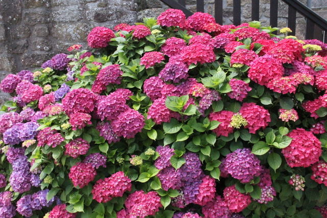 Tutta La Casa Bénodet 40687