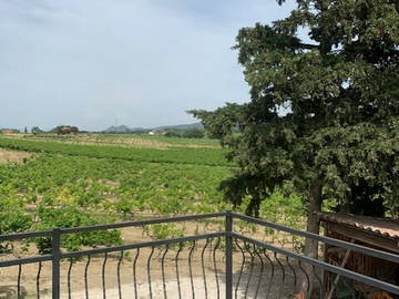 Logement Entier Vacqueyras 259521-7