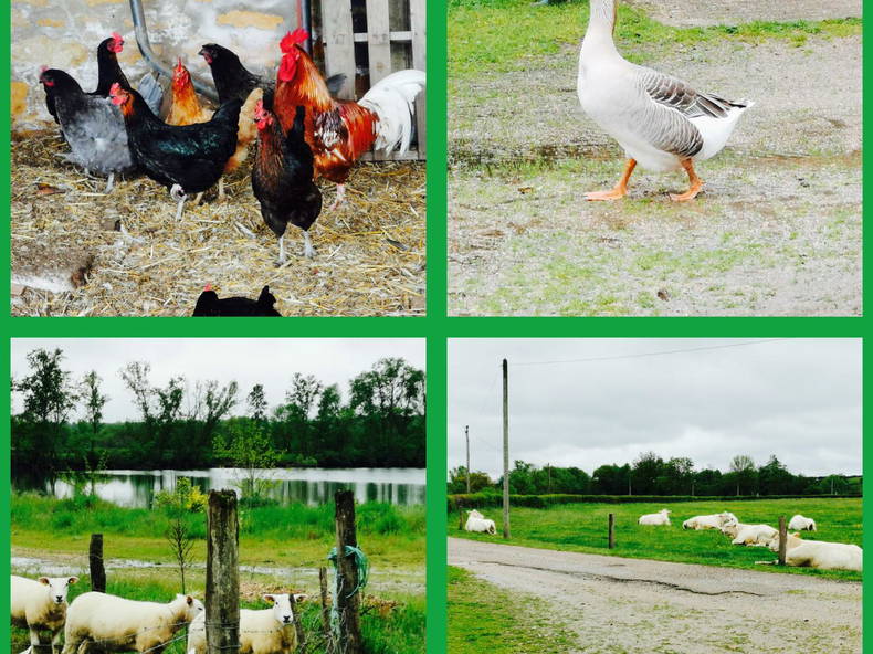 Ganzes Haus Rigny-sur-Arroux 248898-2