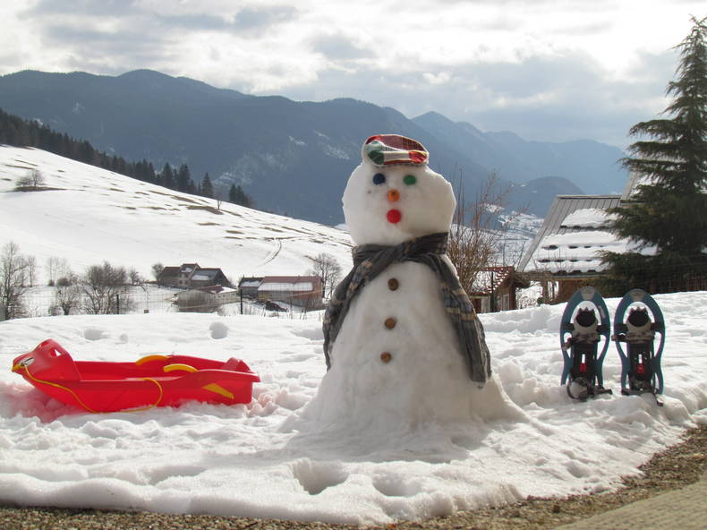 Logement Entier Saint-Julien-en-Vercors 150359-5