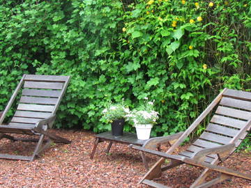 Logement Entier Arras 187654-6