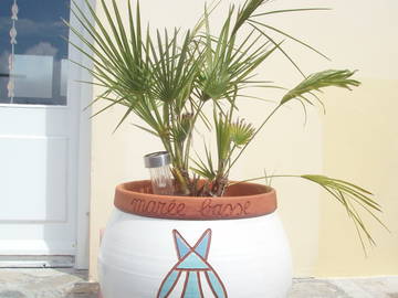 Logement Entier Treffiagat 163316-8